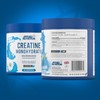 Applied Nutrition Micronized Creatine Monohydrate Powder 250g – 5g of