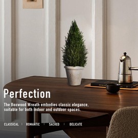 LeafLuxe Mini Natural Pine Christmas Tree with Ceramic Planter - 10 Inch Tabletop Miniature Tree for Festive Home Decor