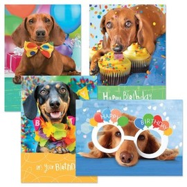 Current Dog Daze Birthday Greeting Cards - Set of 8 (2 each of 4 Designs), 5 x 7 Inches, Sentiments Inside, Envelopes Included, Birthday