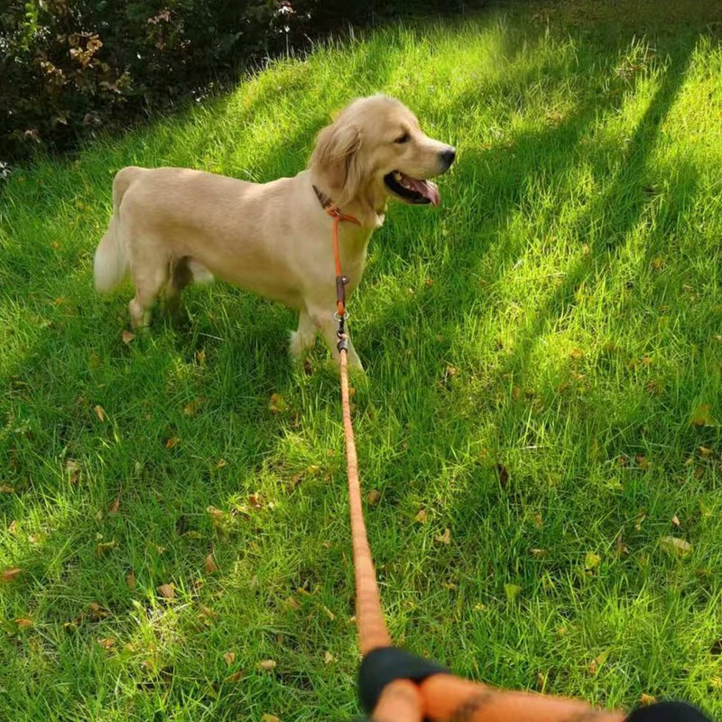 MayPaw Slip Collar Nylon Rope Adjustable Collar for Dog Training-