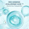 DONGINBI Red Ginseng Hydra Bounce Kit