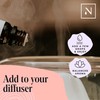 Nikura Citrus Oils Set - 4 x 10ml | Perfect