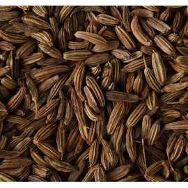 Fennel Herbal Tea, Organic 1.8 oz (50 g)