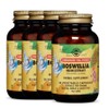 1+3 Solga Boswellia Joint Health 60 tablets, 4 pcs / 1+3 솔가 보스웰리아 관절 뺘 건강 60정, 4개