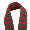 Bearded Dragon Santa Hat Cute Soft Scarf Adjustable Size Bright