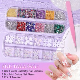 3D Nail Charms and Mini Nail Gem, Aurora Flower Butterfly Bow Charms for Nails Design, Multi Shapes Colors Tiny Heart Star Flower Gems for Nails Art DIY
