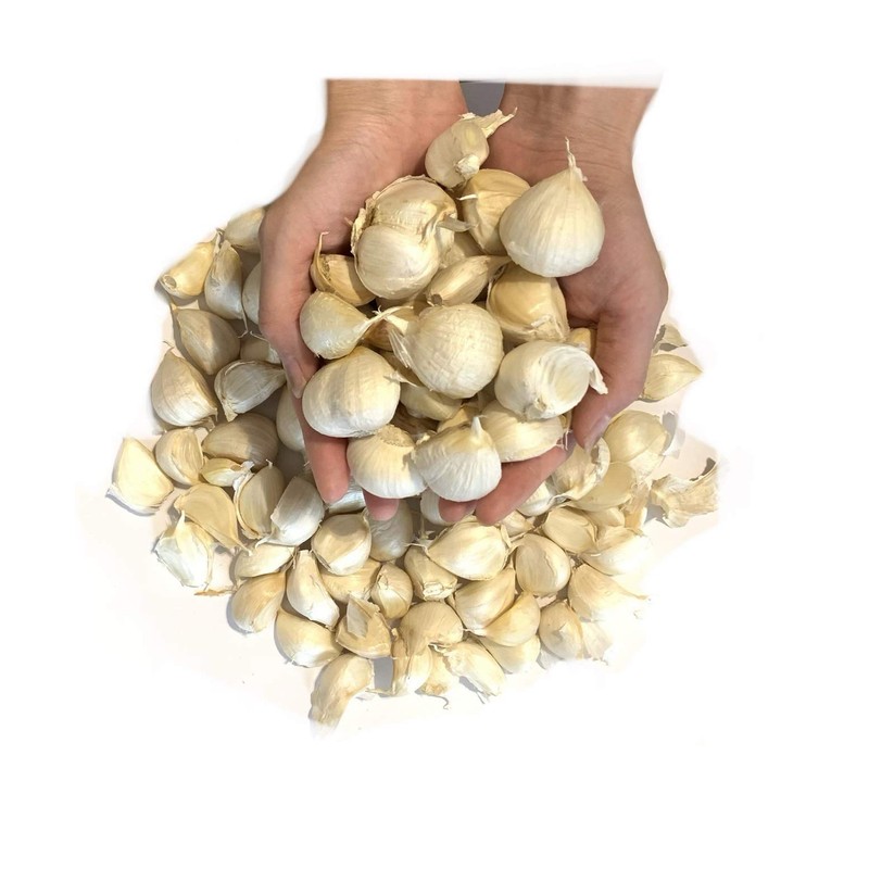 Garlic, White Six Pieces of Garlic, Produced in Aomori Prefecture,