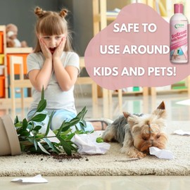 Hygea Natural EcoEraser Stain & Odor Remover - Liquid Formula for Carpet, Rugs, Upholstery, Fabrics - Deodorizing Pet Spot Cleaner (32 oz)