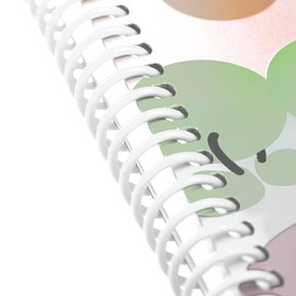 Acouto 20pcs 30 Hole Loose Leaf Plastic Binding Ring Spring Spiral Rings for A4 Paper 11mm Black 11mm Can Bind 75 Sheets of Paper 13mm Can Bind 85 (19mm*30 Holes Transparent 20 Strips)