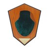 Allen Company Hunting Trophy Antler Mounting Kit, Green Skull Cover