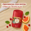 Old Spice Desodorante en Barra para hombre Paradise 50 g