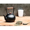 Miyazaki Seisakusho CHA-4 Teapot with Tea Strainer, No Fire Induction,