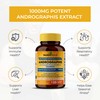 SANDHUHERBALS Andrographis Paniculata Kalmegh for Immune and Liver Health Support|