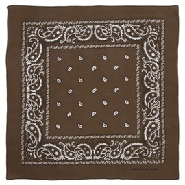 Brown Paisley Bandana - Single Piece 22x22