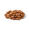 NUTS U.S. - Sweet Raw Apricot Kernels (Seeds) | Unpasteurized