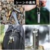 Pill Case, Portable, Stylish, Keychain, Waterproof, Capsule, Nitro Case, Titanium,