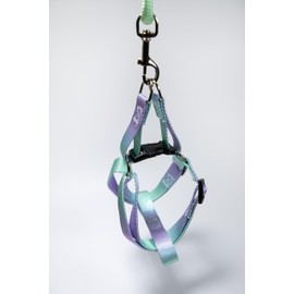 Gradient Color Adjustable Dog Harness, HAUTICO X MOCHAAAA (Purple Green)