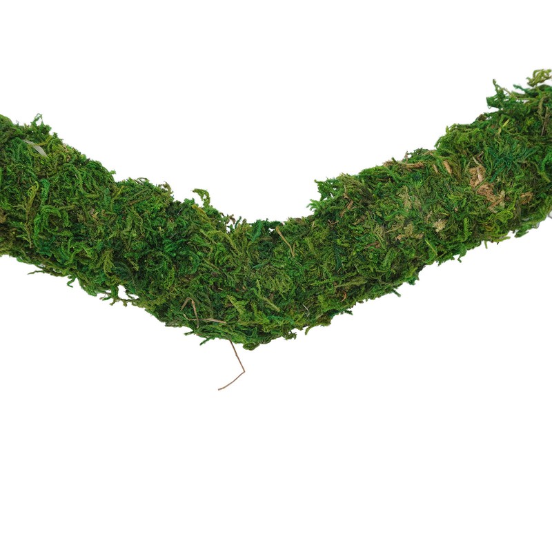 Natural Moss Pole Bendable Moss Plant Rod Plant Climbing Gardening