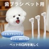 Useekoo 犬 歯ブラシ 猫 ペット用 2本セット 濃密極細毛 歯茎に優しい 口腔ケア 収納ケース付き