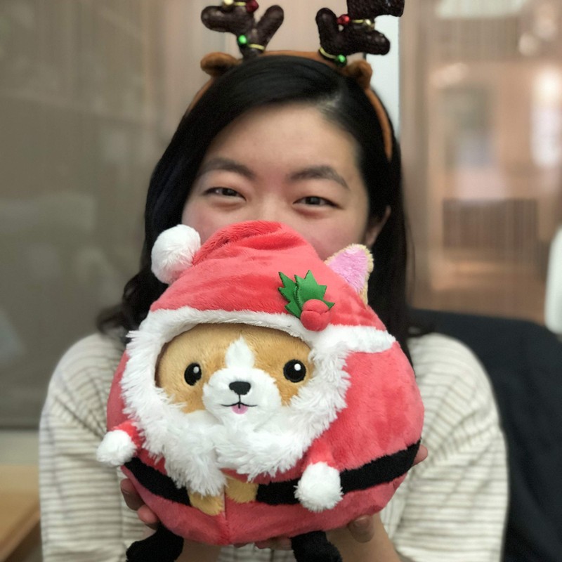 Squishable / Undercover Corgi in Santa - 7"