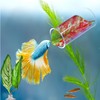 5-Piece Betta Fish Tank Decorations Set for – Soft Silk