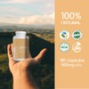 BULK SUPERFOODS Jengibre Orgánico 100 Natural Suplemento Alimenticio