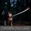 Boswany 2FT Bungee Dog Leash Short Traffic Training Lead Large