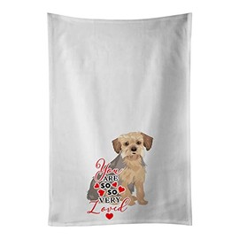 Caroline's Treasures Yorkie Blue and Tan #1 so Loved White Kitchen Set of 2Kitchen Cotton Hand-Towels