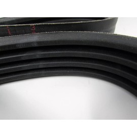 CARLTON STUMP GRINDER ENGINE BELT# 0400101, MODELS 2300 2400 2500 2600 SP4012