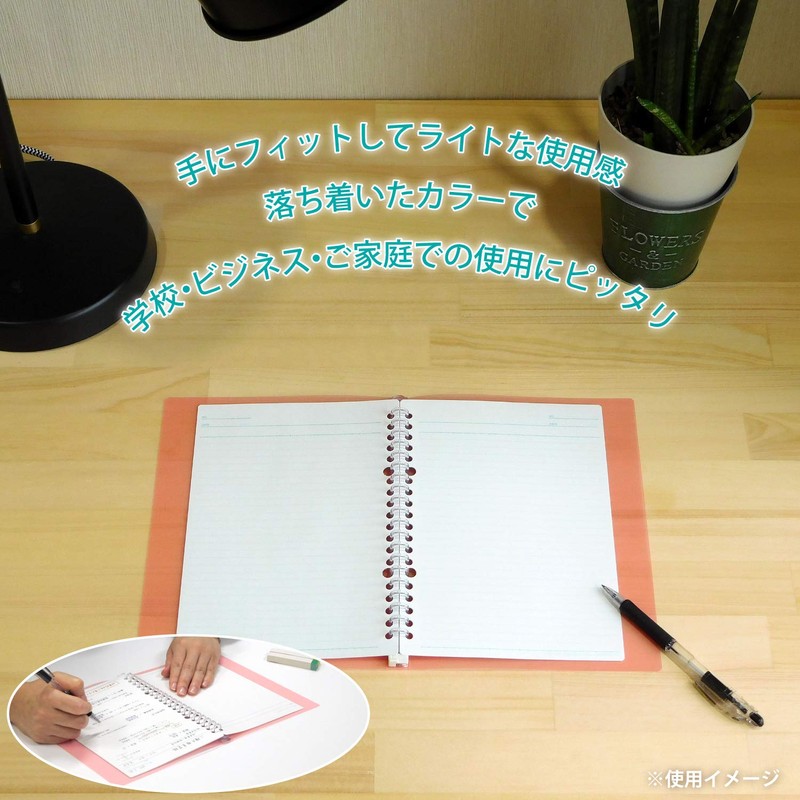 Maruman F091-38 Loose Leaf Binder A5 Crufit 20 Holes, Light