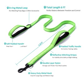 Heavy Duty Dog Leash - 2 Handles by Padded Traffic Handle for Extra Control, 6foot Long - Perfect for Medium to Large Dogs (6 ft, Bright Green)