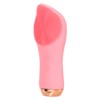 Electric Face Cleanser Waterproof 5 Vibration 3 Temperature Remove Skin