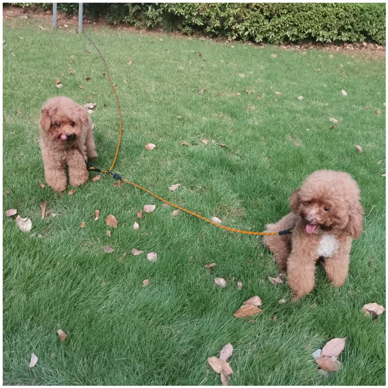 BTINESFUL 12FT 20FT 30FT Reflective Dog Tie Out for 2