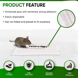 Trapsters USA Pest Paper Glue Trap Sticky Boards (36CT) - 8.3''x5.3'' Extra Strength, Non-Toxic Pre-Baited Adhesive for Mice - Safe Pest Control - Child & Pet Friendly - Indoor Use (Unscented)