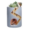 Generic Plantas Macetas Regalo Creativo Maceta Suculenta Escritorio