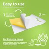 Fruit Fly Trap (20 Pack), Double-Sided Yellow Sticky Traps (Indoor