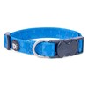 Petface Tonal Stars Print Dog Collar, Medium, Bright Blue
