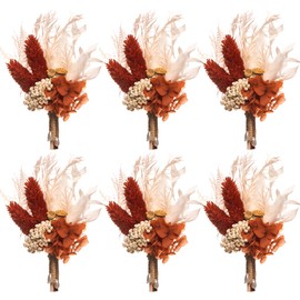 Fall Dried Flower Boutonniere 6-Piece Set for Men's Boho Wedding Boutonniere,Rustic Groom Best Man Anniversary Decoration (Terracotta)