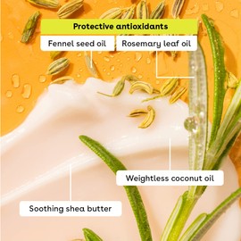 eos eos 100% Natural and Organic Lip Balm Sticks, Sweet Mint, 8g, 2 Pack