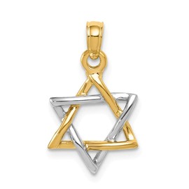 14k Yellow and White Gold Two Tone Star of David Lucky Jewish Pendant Charm