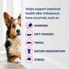 Nutramax Proviable Probiotics for Dogs and Cats, Daily Digestive Health