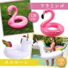 NODC Float Ring, Diameter 47.2 inches (120 cm), For Adults,