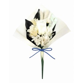 Soup Preserved Flowers, White, W 6.3 x D 3.1 x H 11.8 inches (16 x 8 x 30 cm)