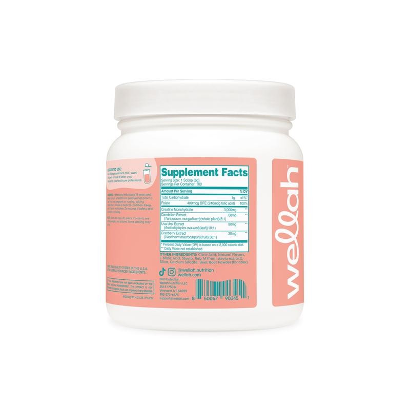Pump-It-Up Creatine (100 Servings):_Pineapple Mango