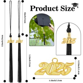 2025 Tassel Graduation, 2 Pcs Graduation Tassel 2025, 2025 Tassel, Black Graduation Cap Tassel with 2025 Gold Charm for Graduation Cap Tassel Charm for Graduate Hat Decorations Ceremonies Accessories