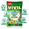 VIVIL Herbal Mint with 23 Herbs, 5 Bags, Cough Drops