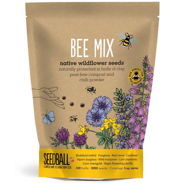 SEEDBALL Bee Mix Seed Bombs (Grab Bag) – 100 Seed Balls Per Pack | Bee Friendly British Wildflower Seeds - Clay Seed Bomb Mix of Poppy, Chamomile, Cornflower, Corn Marigold & Night–Flowering Catchfly
