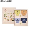 OSULLOC Lovely Tea Box (12T)