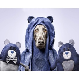 Stuffed Dog GLORIA - Size 36 cm - bear Baloo - Dog Toy - Plush with Sound - soft texture - Highly resistant - Ideal for large dogs - blue dark