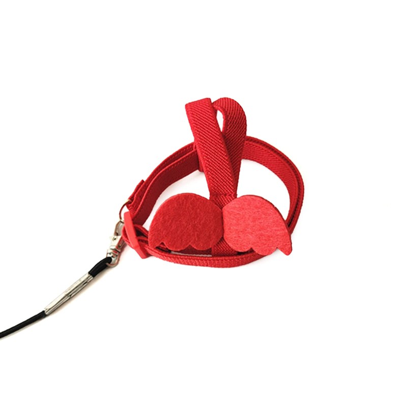 HUANGGG Bird Harness Leash Parrot Flight Training Vest Parrot Costume